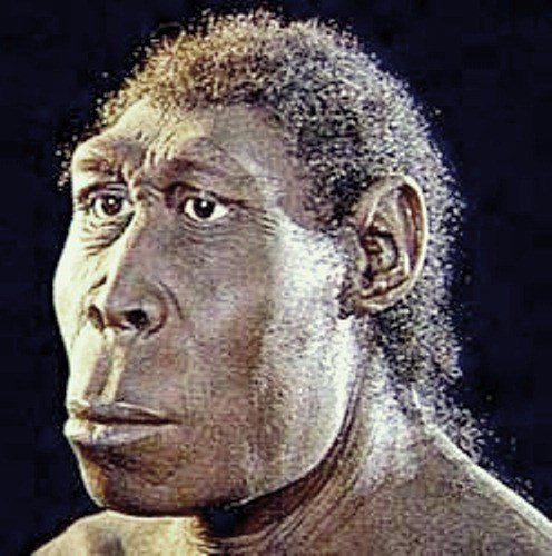 pithecanthropus-erectus-4877303