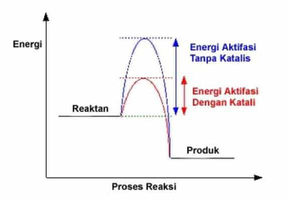 reaksi-eksotern-5688685