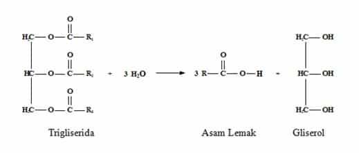 reaksi-hidrolisis-6441597