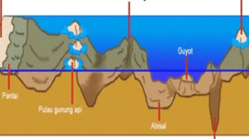relief-dasar-laut-5774609-3246305-png