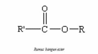 rumus-bangun-ester-1-5442983