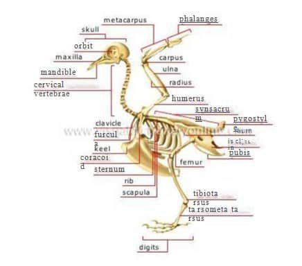 sistem-rangka-1645934