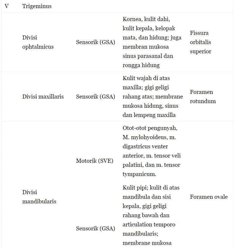 saran-kranial-kedua-2883353