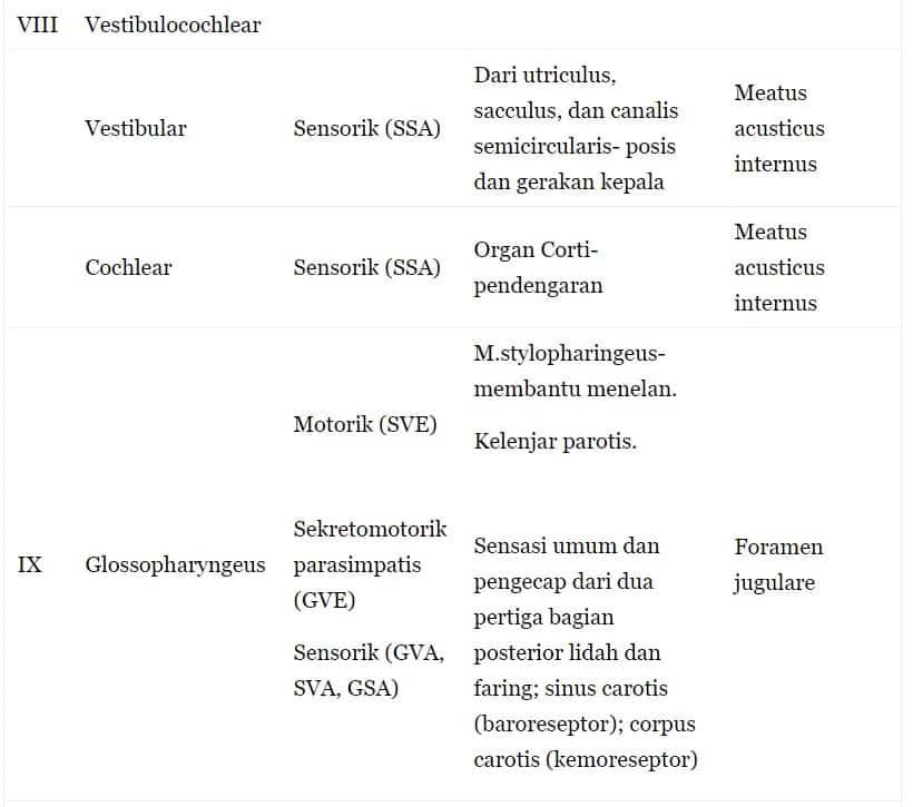 saran-kranial-keempat-6142511
