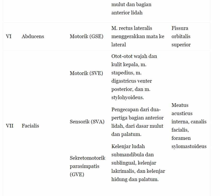 saran-kranial-ketiga-1730406