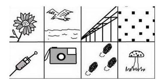 screenshot_24-4976387