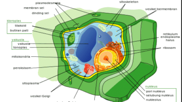 screenshot_3-8527464-7043062-png