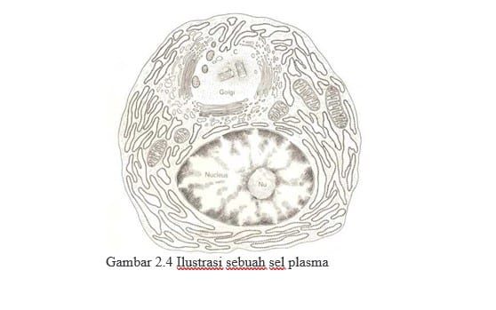 sel-plasma-5046587