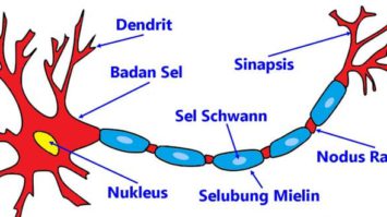 sensorik-1883429-5852484-jpg