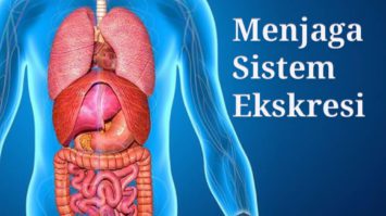 sistem-ekskresi-danmenjaga-kesehatannya-4006648-2356190-jpg