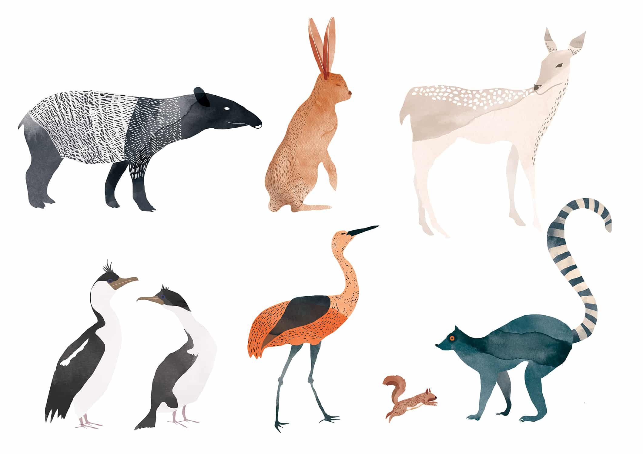 soal-bahasa-inggris-kelas-6-tentang-animals-3069460