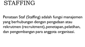 staffing-adalah-7366591-5172528-png