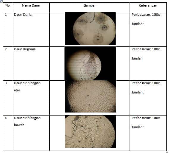 tabel-pengamatan-8183948