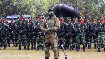 tentara-nasional-indonesia-5153362-4593109-jpg