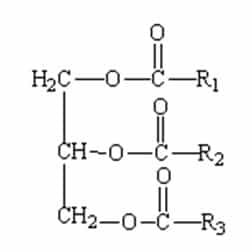 trigliserida-2875283