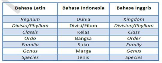 urutan-takson-atau-taksonomi-pada-makhluk-hidup-4398033