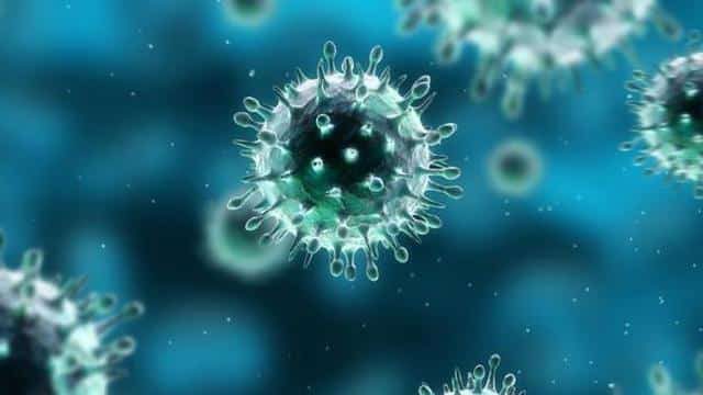 virus-1-3694802