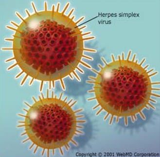 virus-bersampul-7028965