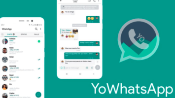 yowhatsapp-7750823-7504345-png