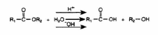 a-hidrolisis-ester-9657586