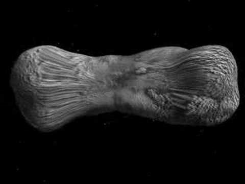 asteroid-cleopatra-2876506