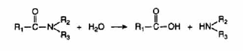 b-hidrolisis-amida-3928817