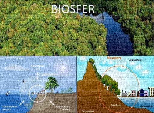 biosfer-3561627-1667915-jpg
