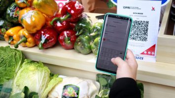 brimo-ilustrasi-7623568-6341306-jpg