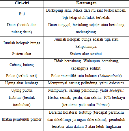 ciri-umum-tumbuhan-monokotil-2103265