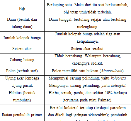 ciri-umum-tumbuhan-monokotil-3268438-5208194-png