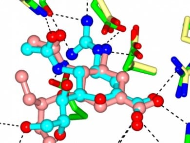 enzim-1922559-2397898-jpg