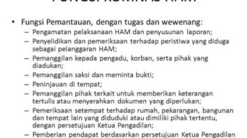 fungsi-komnas-ham-6993769-4340656-jpg