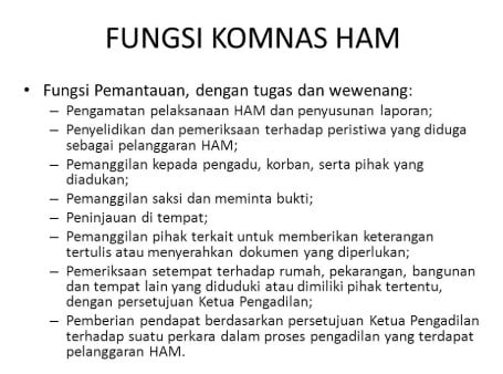 fungsi-komnas-ham-6993769-4340656-jpg