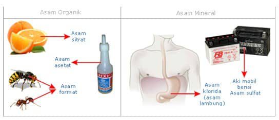 gambar-contoh-asam-8530614