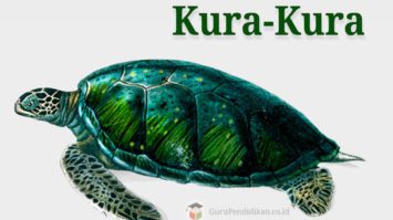 jenis-dan-penyebaran-kura-kura-5865602-5765211-jpg