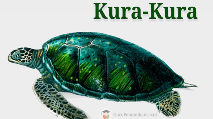 jenis-dan-penyebaran-kura-kura-5865602-5765211-jpg