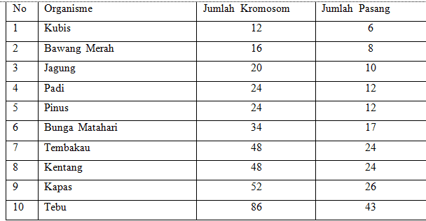jumlah-kromosom-8201660