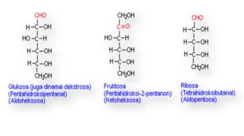 karbohidrat-8076623-1546645-png