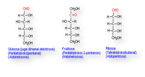 karbohidrat-8076623-1546645-png