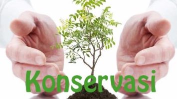 konservasi-adalah-2593839-3053334-jpg