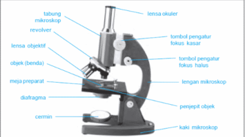 mikroskop-3373863-7366056-png