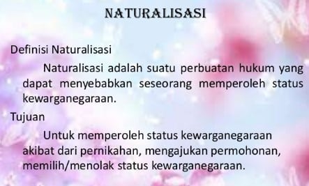 naturalisasi-2945440-5886424-jpg