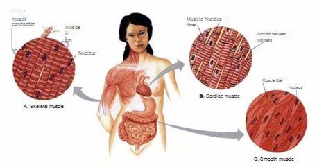 otot-tak-sadar-2821824