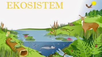 pengertian-ekosistem-1578028-5805165-jpg