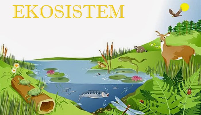 pengertian-ekosistem-6584573