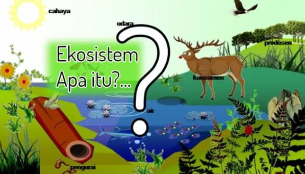 pengertian-ekosistem-7405243