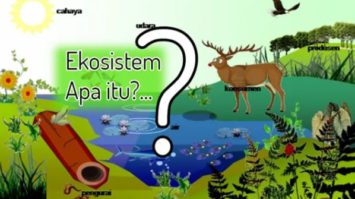pengertian-ekosistem-8344489-3765066-jpg