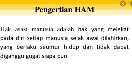 pengertian-ham-6915743