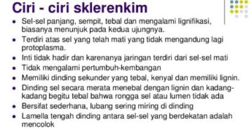 pengertian-jaringan-sklerenkim-3256432-8282781-jpg