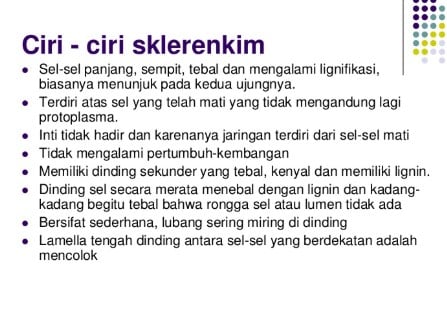 pengertian-jaringan-sklerenkim-3256432-8282781-jpg